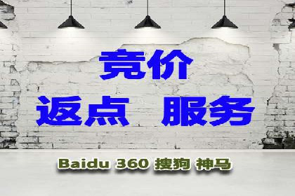百度推广代运营成功案例解析